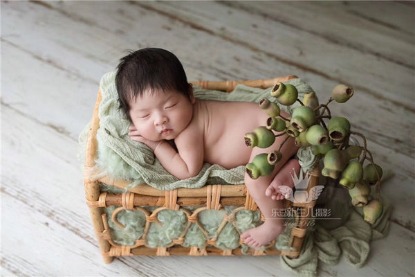 New-born Basket Bed