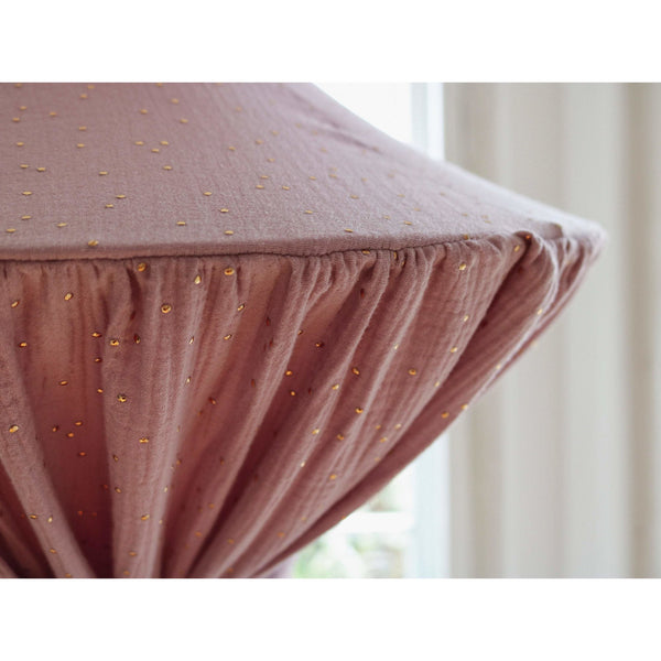 Pink And Gold Indoor Canopy